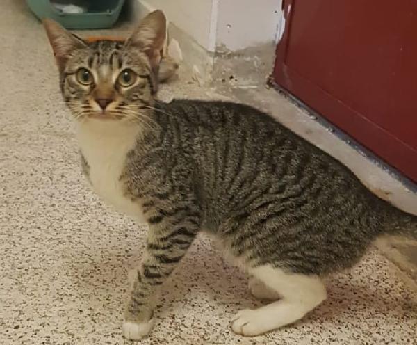 Tiziana, tizia simpatica e curiosa Foto 2